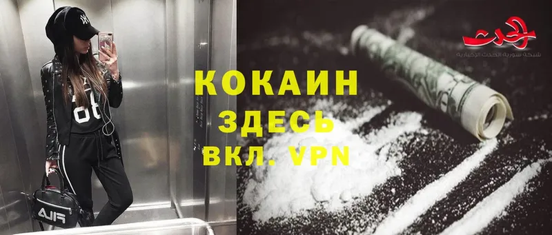 Cocaine Fish Scale  Прокопьевск 